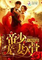 天赐暖婚帝少宠妻入骨 梵九音