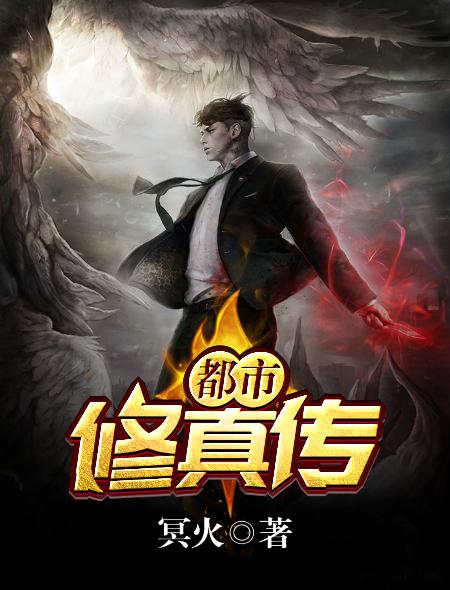 都市修真传承储物戒全本