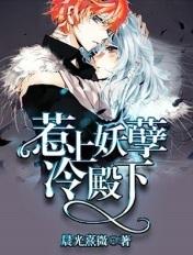 惹上冷殿下主题曲