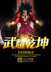 龙珠之武耀乾坤免费阅读