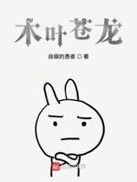 木叶苍龙主角介绍